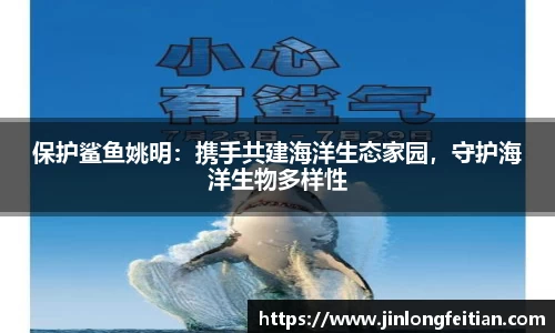 保护鲨鱼姚明：携手共建海洋生态家园，守护海洋生物多样性
